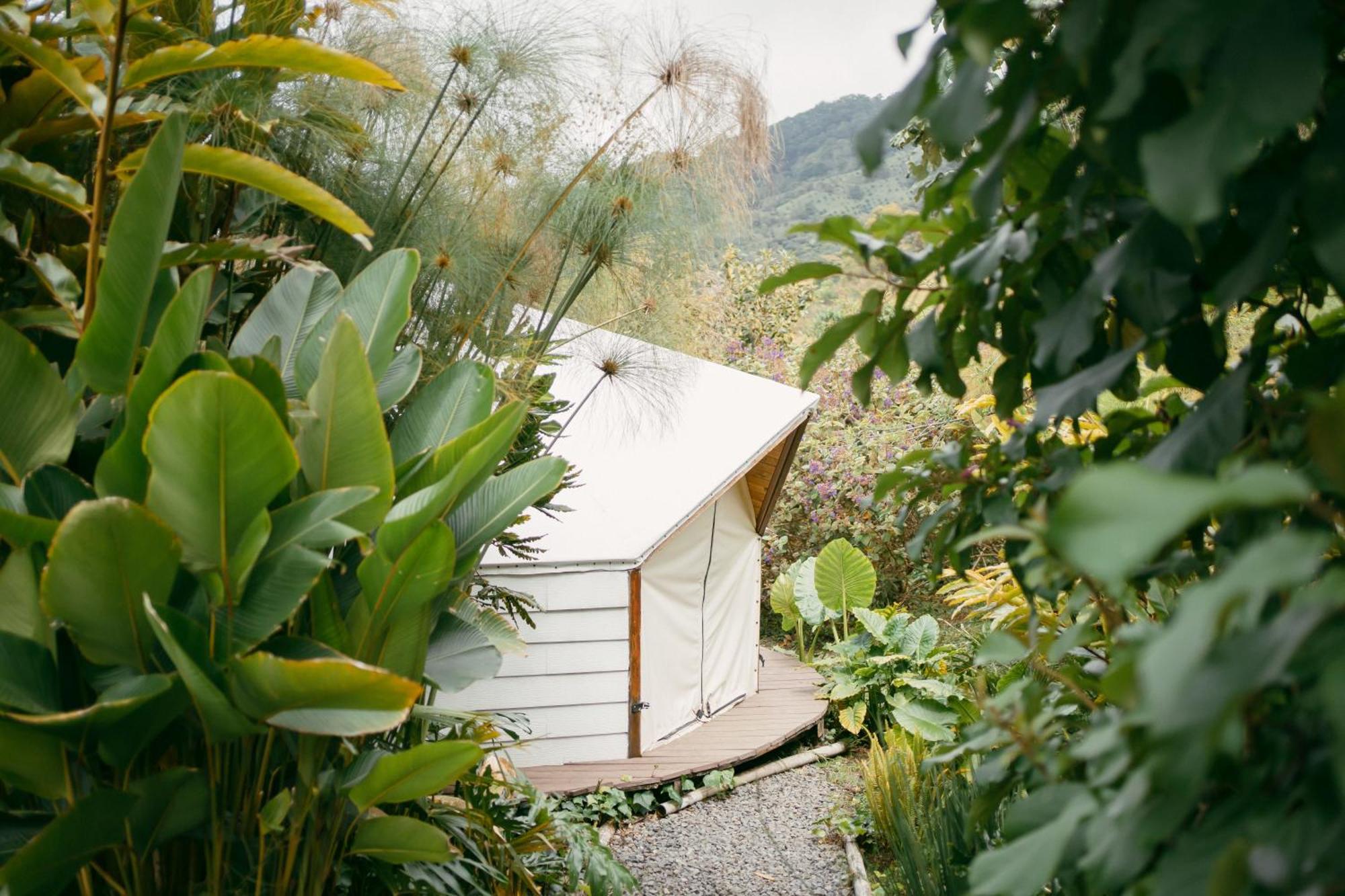 살렌토 Glamping Lumbre 빌라 외부 사진